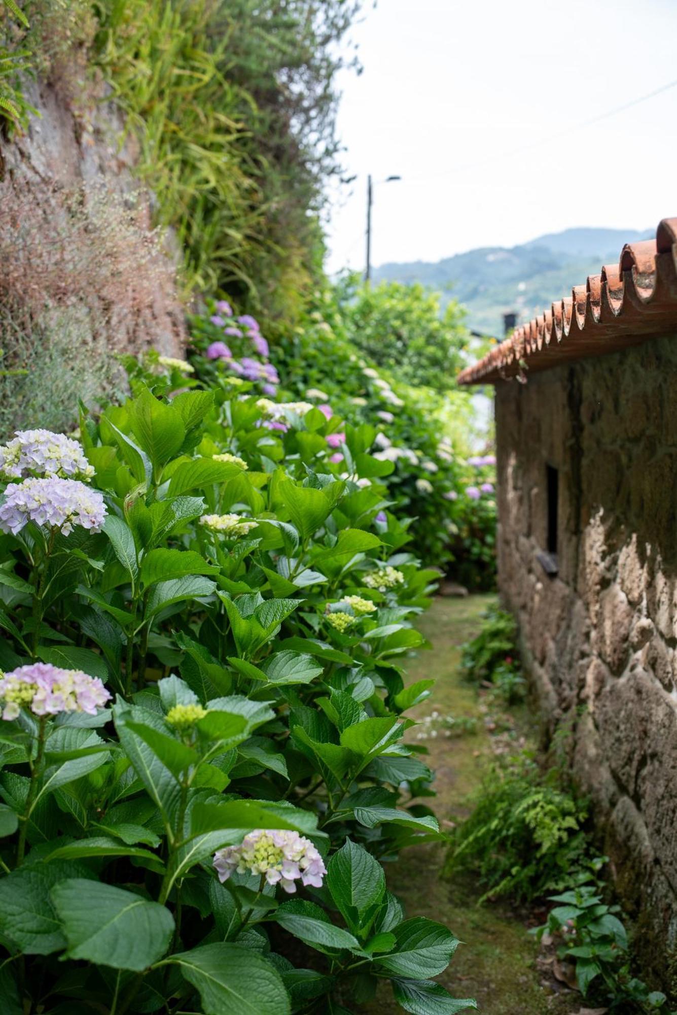 Casa Da Torre, Porto Manso Villa Ribadouro Exterior foto