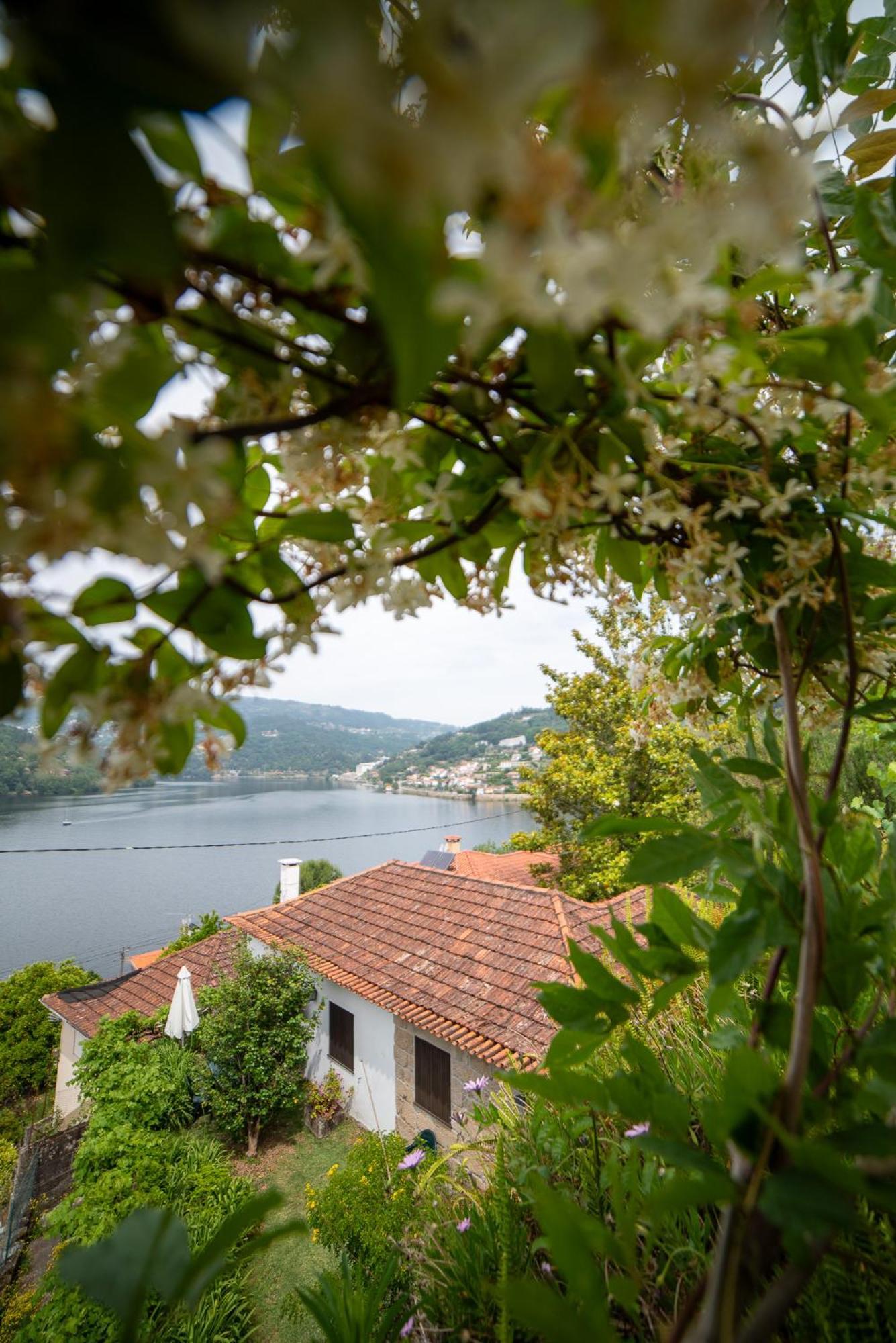 Casa Da Torre, Porto Manso Villa Ribadouro Exterior foto